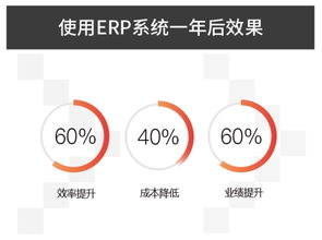 ERP管理软件对企业效益的提升